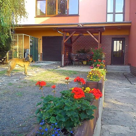 Apartments Ceske Stredohori Teplice Rom bilde