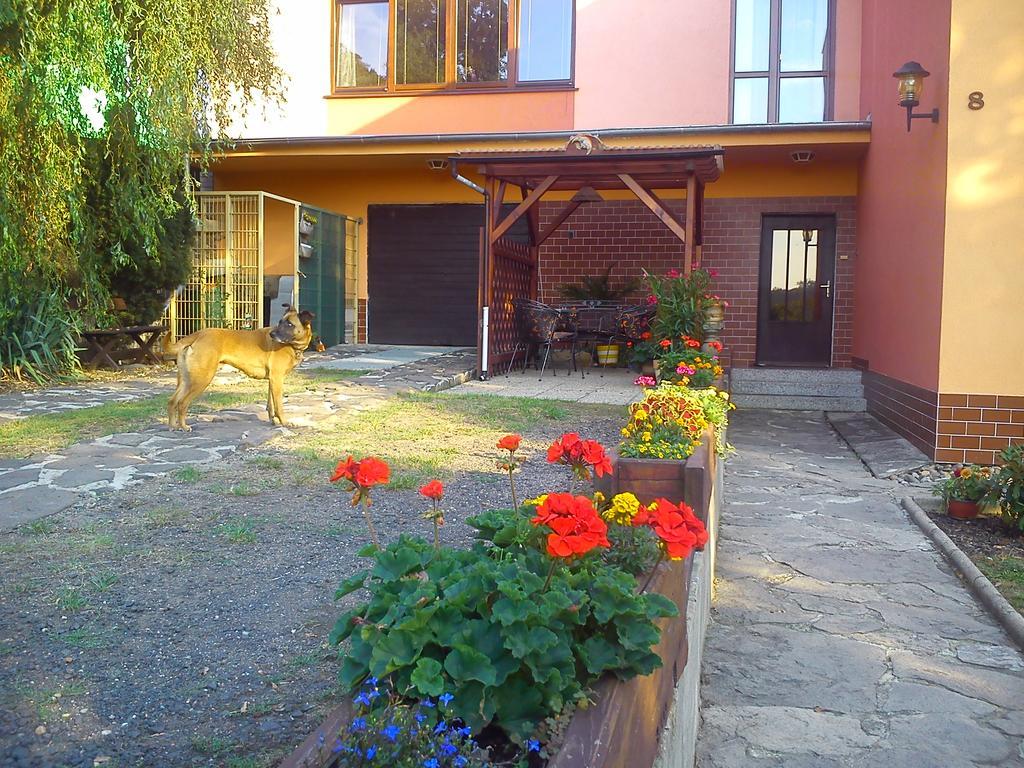 Apartments Ceske Stredohori Teplice Rom bilde